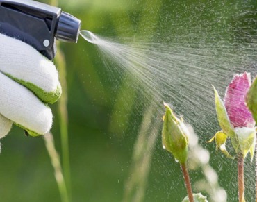 Fitosanitarios en Haro|Ferretería VICTOR DELGADO